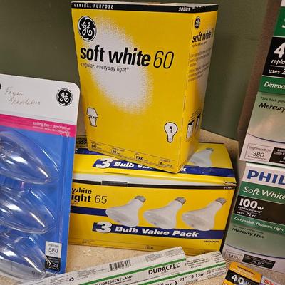 Light Bulb Assortment (L-DW)