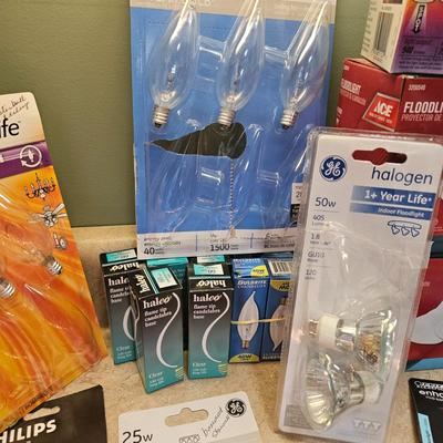 Light Bulb Assortment (L-DW)