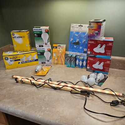Light Bulb Assortment (L-DW)