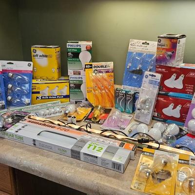 Light Bulb Assortment (L-DW)