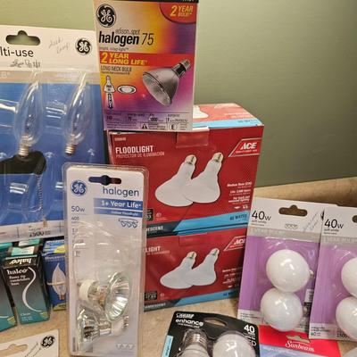 Light Bulb Assortment (L-DW)