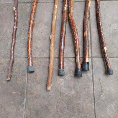 Seven Hiking Sticks (L-DW)