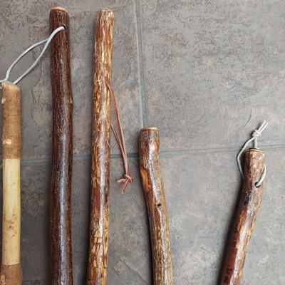 Seven Hiking Sticks (L-DW)
