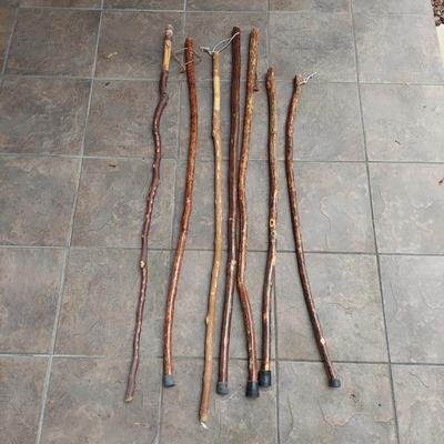 Seven Hiking Sticks (L-DW)