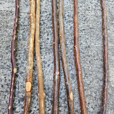 Seven Hiking Sticks (L-DW)
