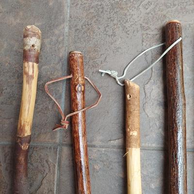 Seven Hiking Sticks (L-DW)