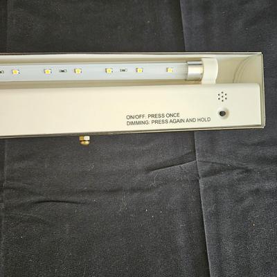 Pair of Wall Mounted Art Lights (L-DW)