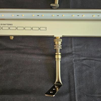 Pair of Wall Mounted Art Lights (L-DW)