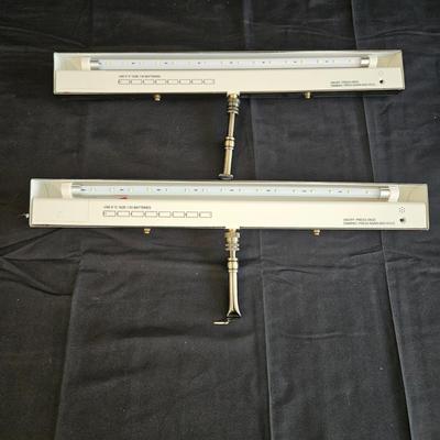 Pair of Wall Mounted Art Lights (L-DW)