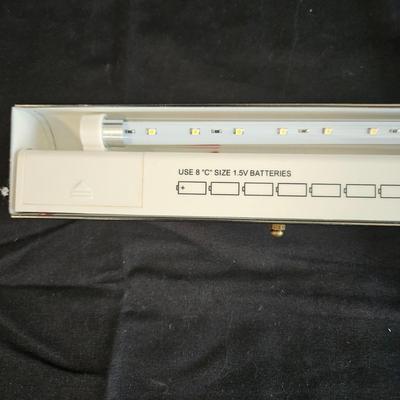 Pair of Wall Mounted Art Lights (L-DW)