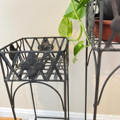 Lot Planters & Potted Plants