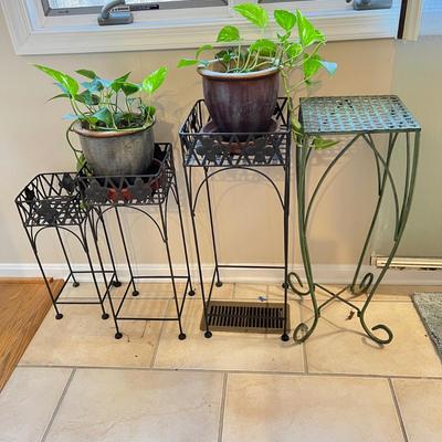 Lot Planters & Potted Plants