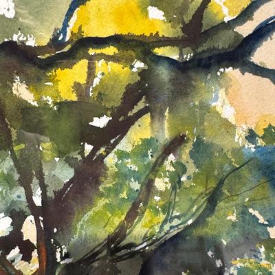 Signed & Framed Original Artwork