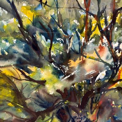 Signed & Framed Original Artwork