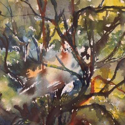 Signed & Framed Original Artwork