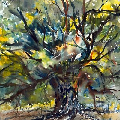 Signed & Framed Original Artwork