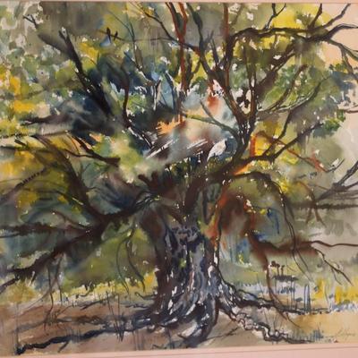 Signed & Framed Original Artwork