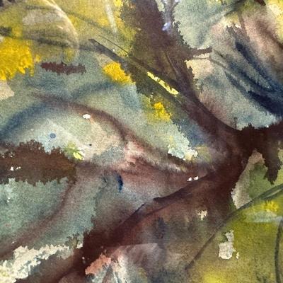 Signed & Framed Original Artwork