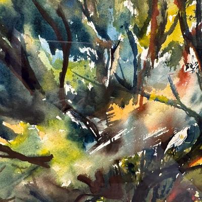 Signed & Framed Original Artwork