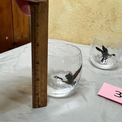 Water Foul Glasses