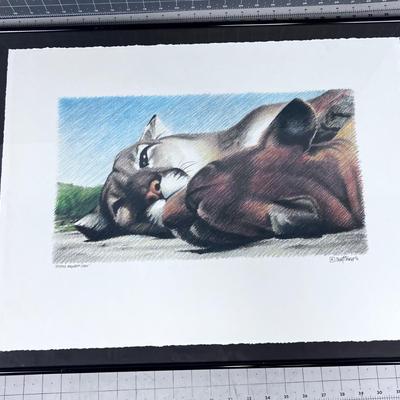 Resting Mountain Lions (under Glass) Signed
