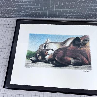 Resting Mountain Lions (under Glass) Signed