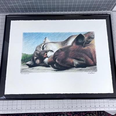 Resting Mountain Lions (under Glass) Signed