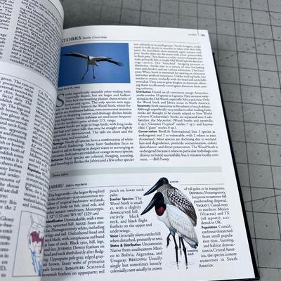 Complete Birds of North America National Geographic