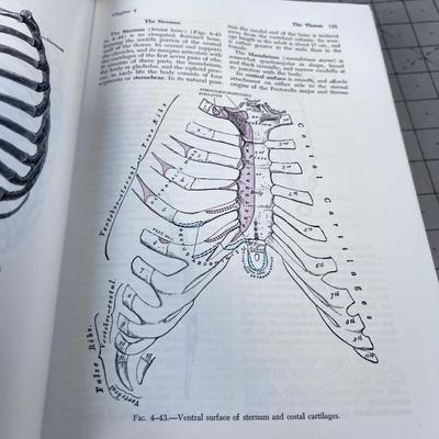 Grays Anatomy 1973 Edition. Real Deal!