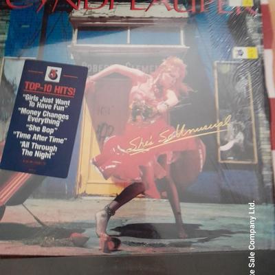 LP ALBUMS - GREAT LOT! Bruce Hinsby - Tina Turner - Cindi Lauper - Bruce Springsteen
