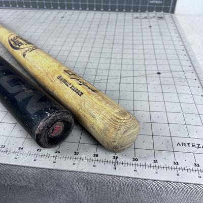 2 Baseball Bat's  