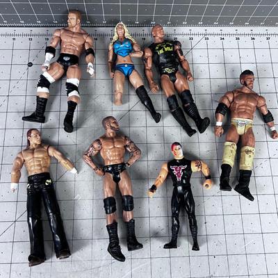 Wrestling Action Figurines 