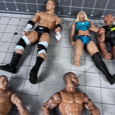 Wrestling Action Figurines 