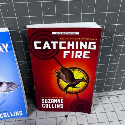 3 Books in the HUNGER Games Series