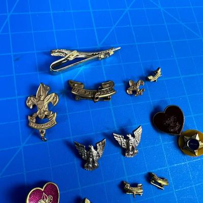 Collection of Boy Scout Pins