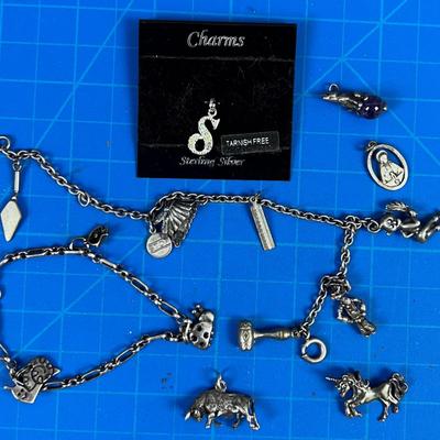 Charms Some Silver