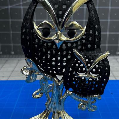 Earing Holder of an OWL! 