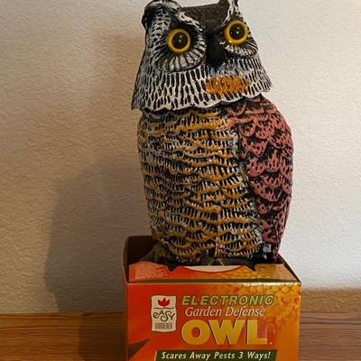 New Garden Defense Owl