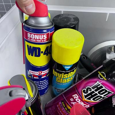 Garage Tube, Bug Spray, Glass Cleaner WD40 Etc. 