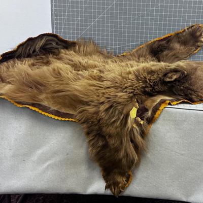 Genuine BEAR Rug