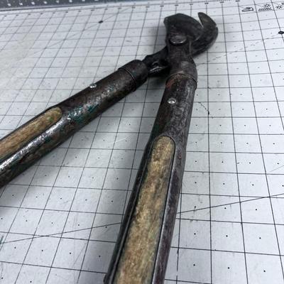 Tree Pruning Loppers, Heavy Duty 