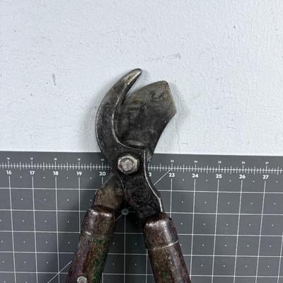 Tree Pruning Loppers, Heavy Duty 