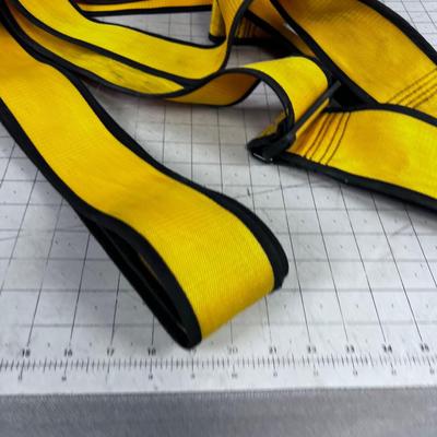Pair of Pro Lifter Moving Straps 