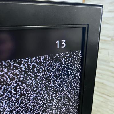 SONY Bravia TV, includes REMOTE