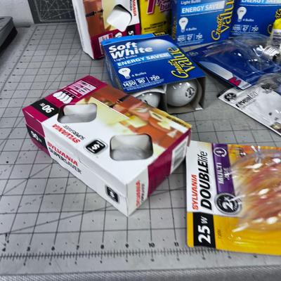 All the Light Bulbs in the House. 