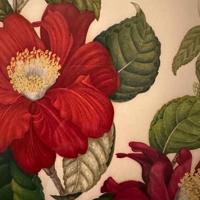 Signed & Titled â€œCamellia Japoniaâ€ by Artist