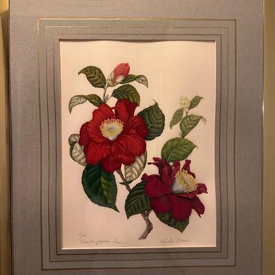 Signed & Titled â€œCamellia Japoniaâ€ by Artist