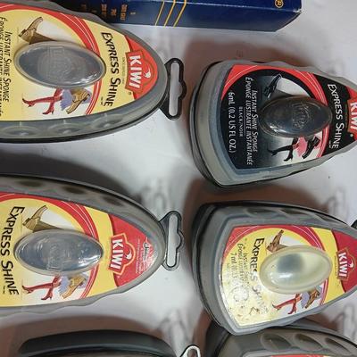 Shoe polish sponges with containers and shoe dressing