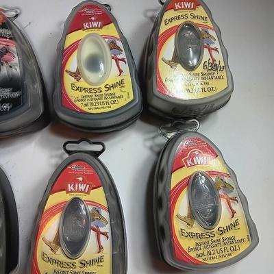 Shoe polish sponges with containers and shoe dressing