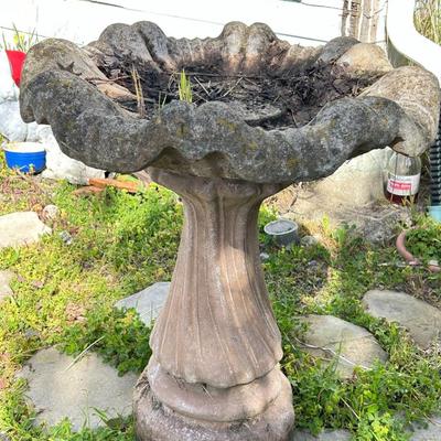 Outdoor concrete, birdbath, birdhouse.